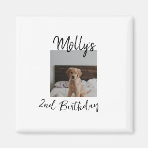 Pet dog cat animal birthday photo modern simple magnet