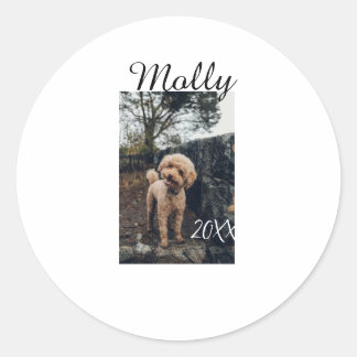 Pet dog cat animal birthday photo modern year date classic round sticker