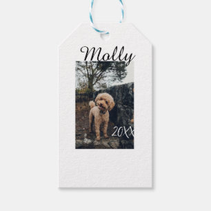 Pet dog cat animal birthday photo modern year date gift tags