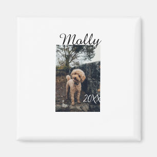Pet dog cat animal birthday photo modern year date magnet