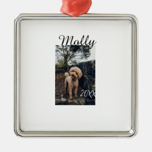 Pet dog cat animal birthday photo modern year date metal ornament