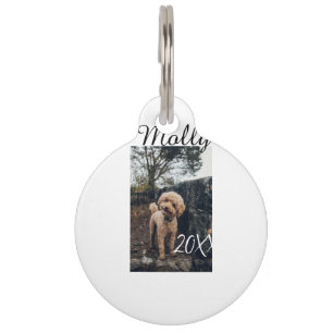 Pet dog cat animal birthday photo modern year date tag