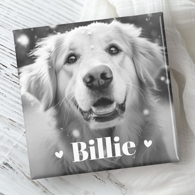 Pet dog cat name hearts magnet (Pet dog cat name hearts magnet)