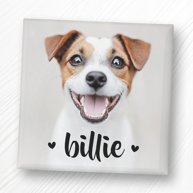 Pet dog cat name hearts magnet (Pet dog cat name hearts magnet)