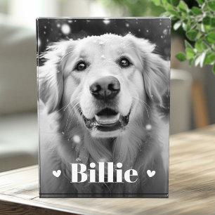 Pet dog cat name hearts photo block