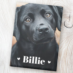 Pet dog cat name hearts two photos magnet