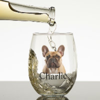 Pet Dog Cat Photo Personalised