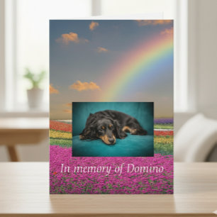 Pet Dog Cat Rainbow Bridge Sympathy Photo Custom Card