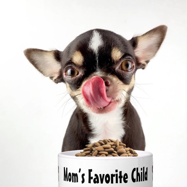 Pet Dog Funny “Mum’s Favourite Child” & paw prints Bowl (Creator Uploaded)