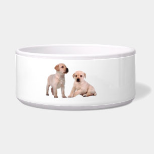 Pet Dog image for Large Pet Bowl