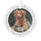 Pet Dog Memorial Custom Photo