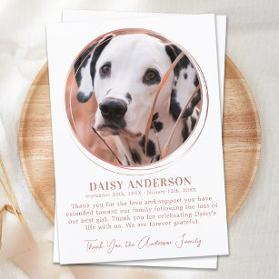 Pet Dog Memorial Rose Gold Custom Photo Sympathy Thank You Card