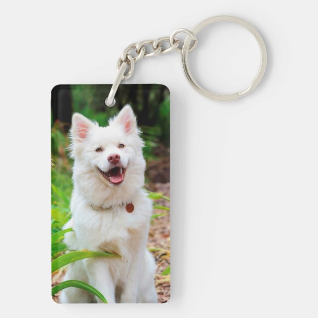 Pet Dog Memorial Sympathy Quote Photo Key Ring (Back)