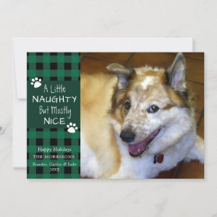 Pet Dog Naughty and Nice Green Black Plaid Holiday Card