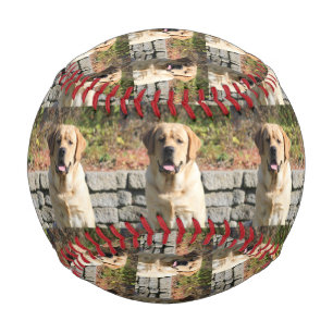 Pet Dog Photo Baseball