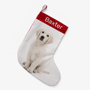 Pet Dog Photo Holiday Golden Retriever Small Christmas Stocking