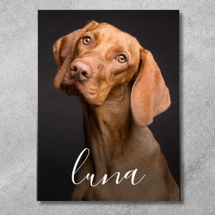 Pet Dog Photo Personalised Name  Poster