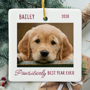 Pet Dog Puppy Personalized 2 Photo Christmas Ceramic Ornament
