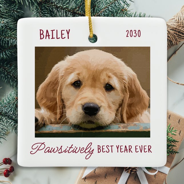 Pet Dog Puppy Personalized 2 Photo Christmas Ceramic Ornament (Creator Uploaded)