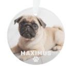 Pet Dog Simple Paw Print Custom Name Photo