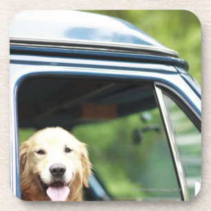 Pet dog sitting in a car coaster