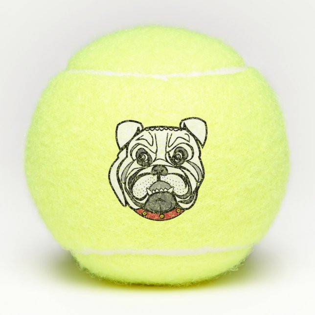 Pet Dog Tennis Balls (Front)