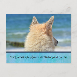 Pet Dog With Inspirational Message Postcard