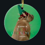 Pet Dog's First Christmas Photo Ornament<br><div class="desc">Pet Dog's First Christmas Photo Ornament</div>