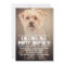 PET DOG'S PARTY PHOTO INVITE