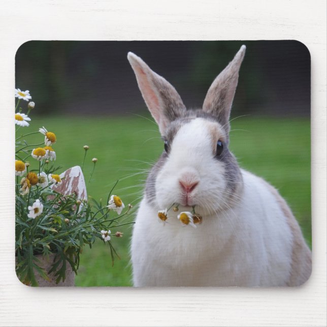 Pet Dutch Bunny Rabbit with Flowers Mouse Pad (Front)