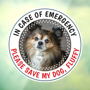 Pet Emergency Alert Custom Photo Name Safety