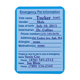 Pet Emergency Information Magnet