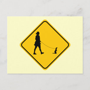 Pet Ferret Crossing Postcard