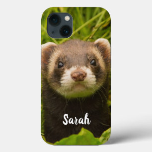 Pet Ferret in the Grass iPhone 13 Case