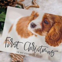 Pet First Christmas in Forever Home Photo