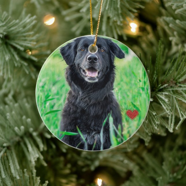 Pet First Christmas Photo Name  Ceramic Ornament (Tree)