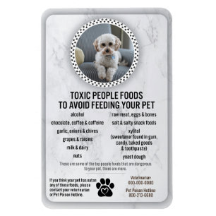 Pet Food Safety Dangerous People Foods to Avoid Magnet