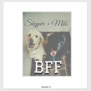 Pet friends besties add name pet photo animal love