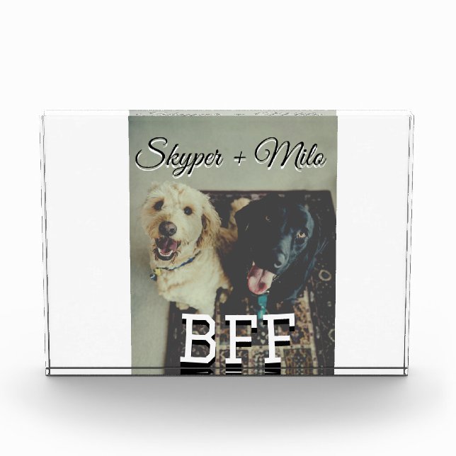 Pet friends besties add name pet photo animal love (Front)