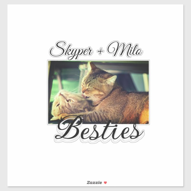 Pet friends besties add name pet photo animal love (Sheet)