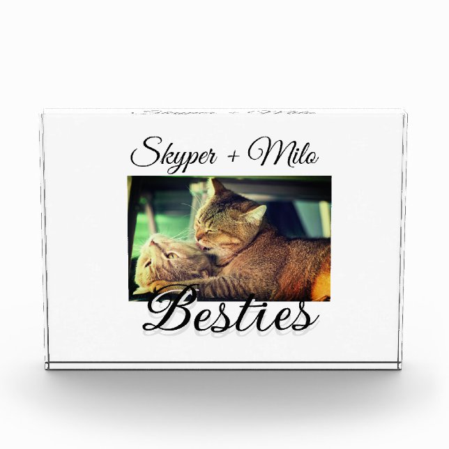 Pet friends besties add name pet photo animal love (Front)