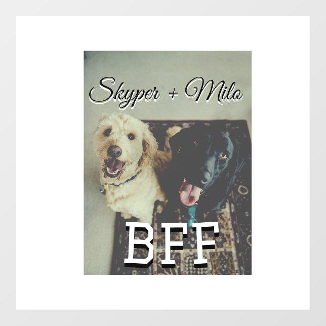 Pet friends besties add name pet photo animal love (Sheet)