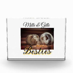 Pet friends besties add name pet photo animal love block