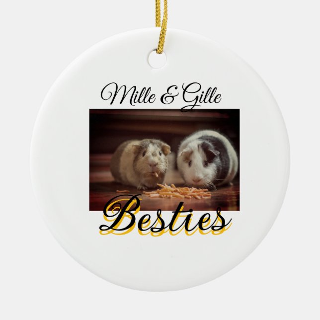 Pet friends besties add name pet photo animal love ceramic ornament (Front)