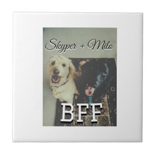Pet friends besties add name pet photo animal love ceramic tile