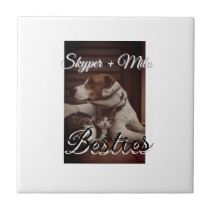 Pet friends besties add name pet photo animal love ceramic tile