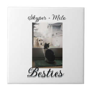 Pet friends besties add name pet photo animal love ceramic tile