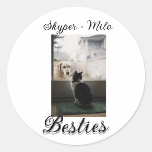 Pet friends besties add name pet photo animal love classic round sticker