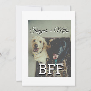 Pet friends besties add name pet photo animal love invitation