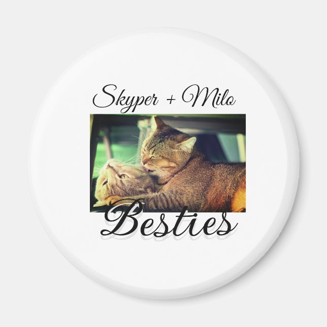 Pet friends besties add name pet photo animal love magnet (Front)
